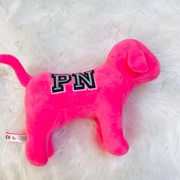 VS Pink Oversized Cozy Dog/Tote Set - Picture 4 of 7